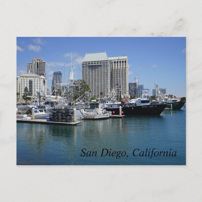 San Diego, California Postcard (Front)