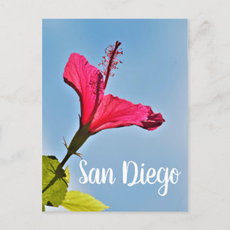 San Diego Hibiscus Holiday Postcard