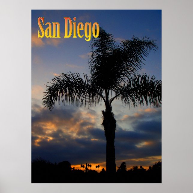 San Diego Palm Tree Poster (Front)