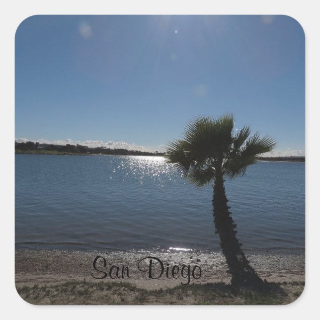 San Diego Palm Tree Sticker (Front)