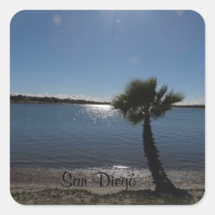 San Diego Palm Tree Sticker