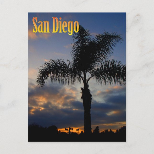 San Diego Palm Tree Sunset Postcard (Front)