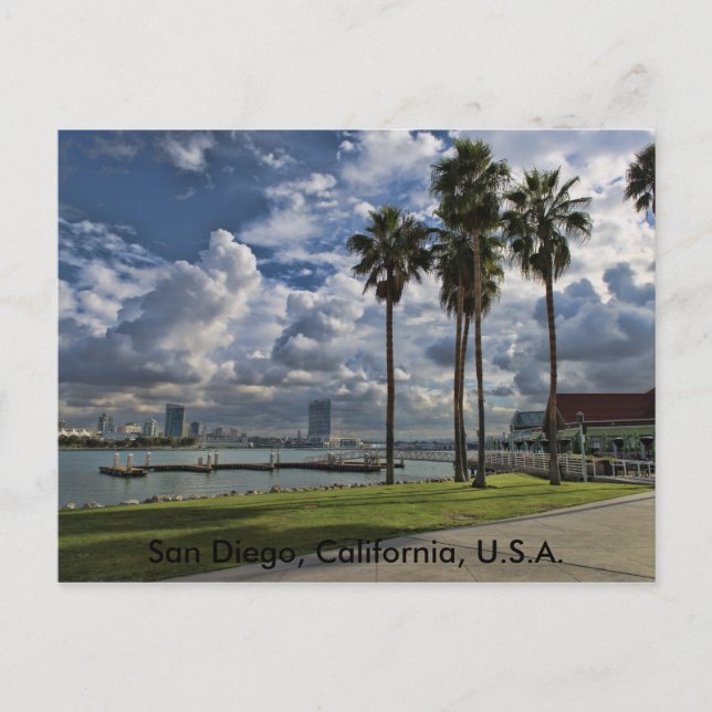 San Diego, Postcard (Front)