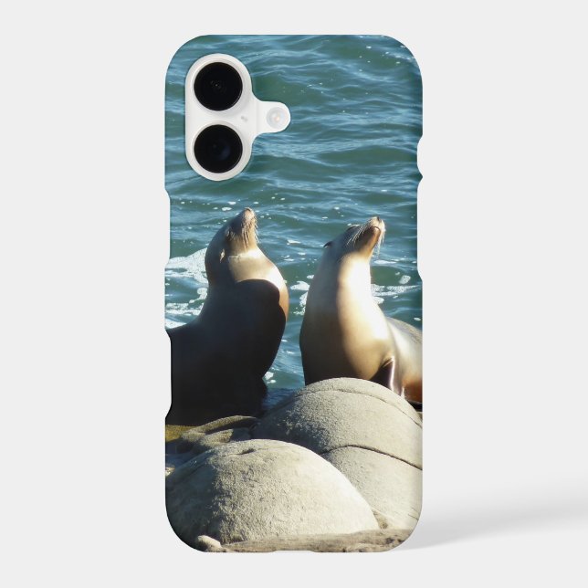 San Diego Sea Lions (Back)