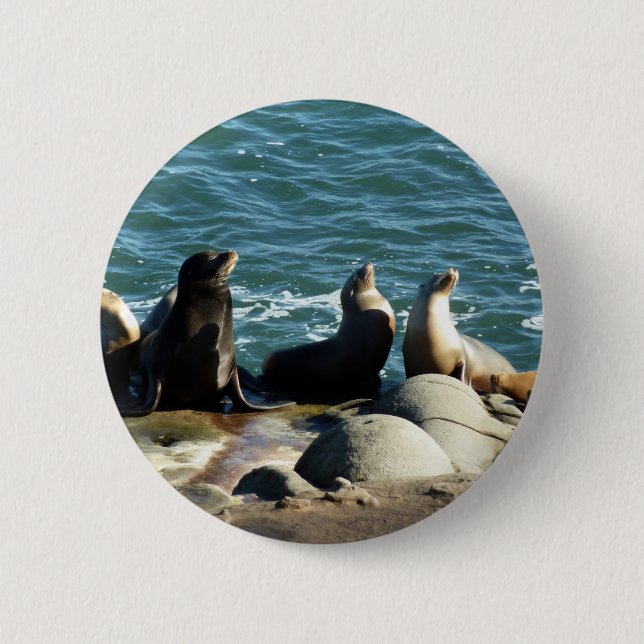 San Diego Sea Lions 2 Inch Round Button (Front)