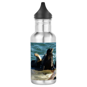 San Diego Sea Lions 532 Ml Water Bottle