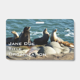 San Diego Sea Lions Badge