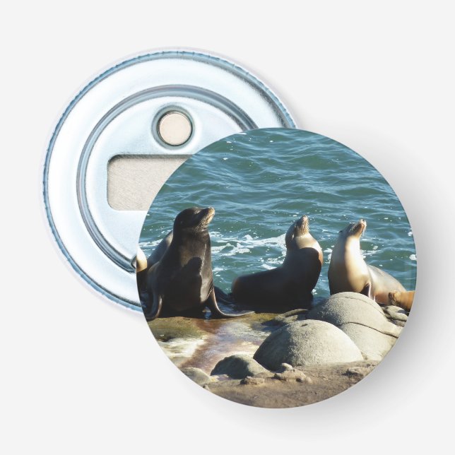 San Diego Sea Lions Bottle Opener (Front)
