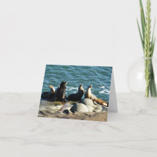 San Diego Sea Lions Card