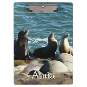 San Diego Sea Lions Clipboard