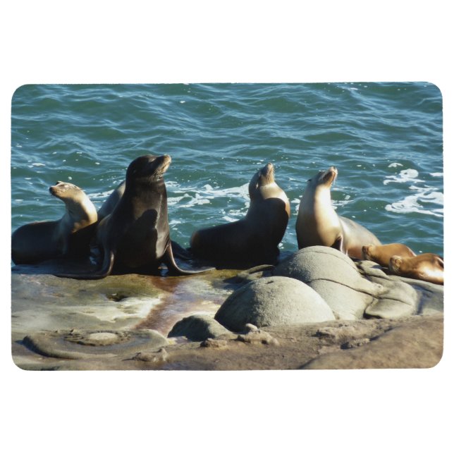 San Diego Sea Lions Floor Mat (Front)