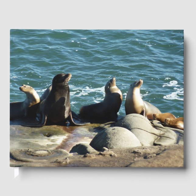 San Diego Sea Lions Guest Book (Front)