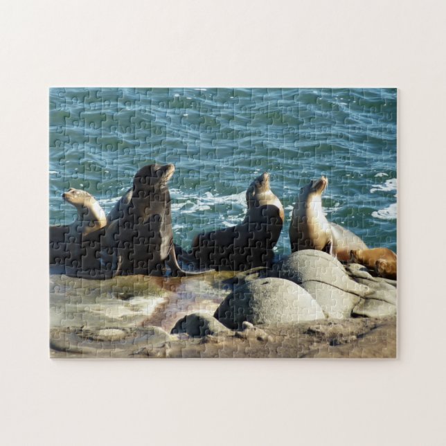 San Diego Sea Lions Jigsaw Puzzle (Horizontal)