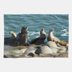 San Diego Sea Lions Kitchen Towel