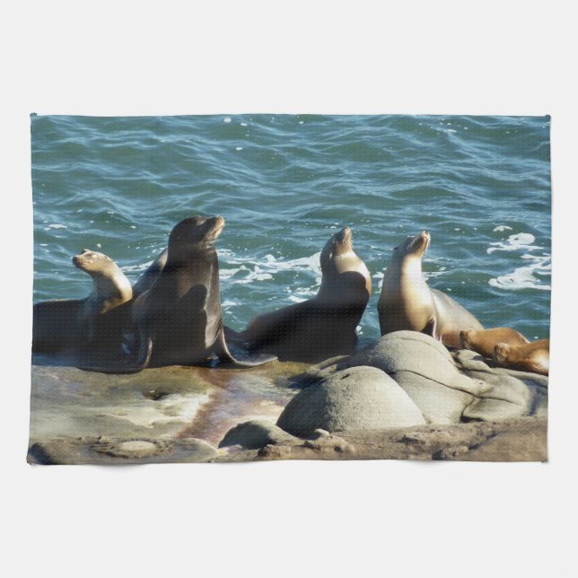 San Diego Sea Lions Kitchen Towel (Horizontal)
