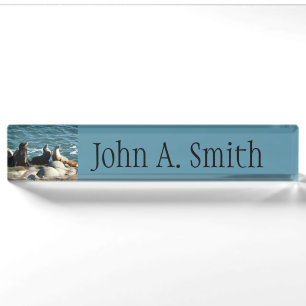 San Diego Sea Lions Nameplate