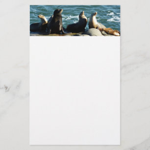 San Diego Sea Lions Stationery