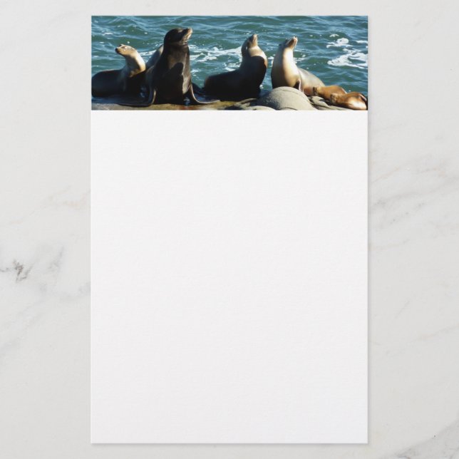 San Diego Sea Lions Stationery (Front)