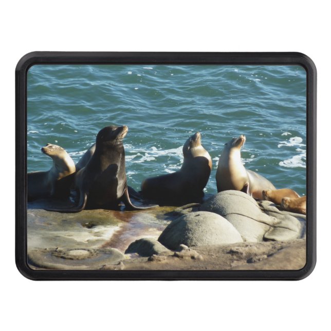 San Diego Sea Lions Trailer Hitch Cover (Front)