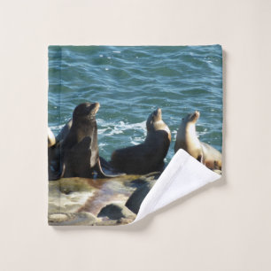 San Diego Sea Lions Wash Cloth