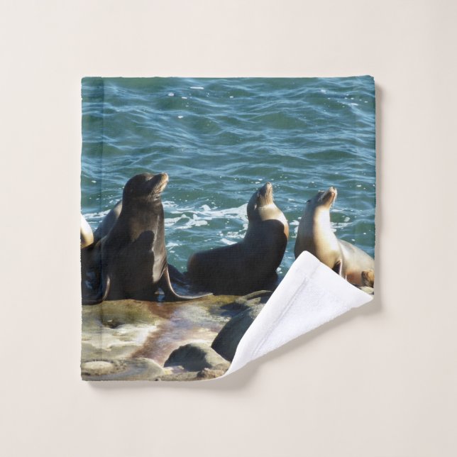 San Diego Sea Lions Wash Cloth (Wash Cloth)