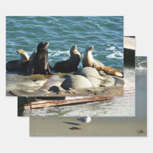 San Diego Sea Lions Wrapping Paper Sheet