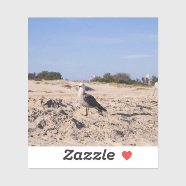 San Diego Seagull (Sheet)