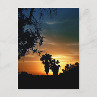 San Diego Sunset Postcard