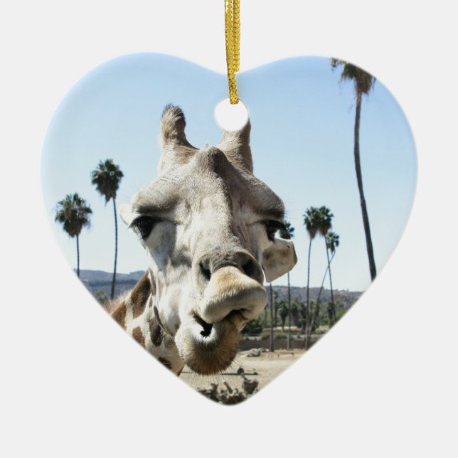 San Diego zoo Ceramic Ornament (Front)