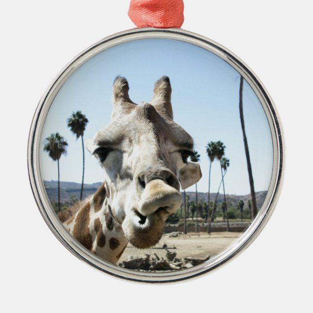San Diego zoo Metal Ornament (Front)