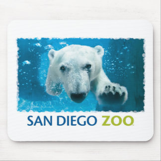 San Diego Zoo Polar Bear Mouse Pad