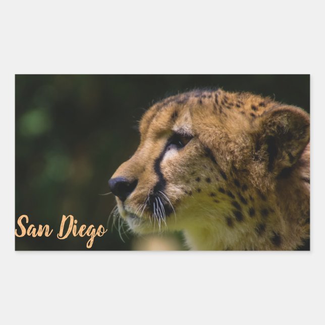 San Diego zoo Sticker (Front)