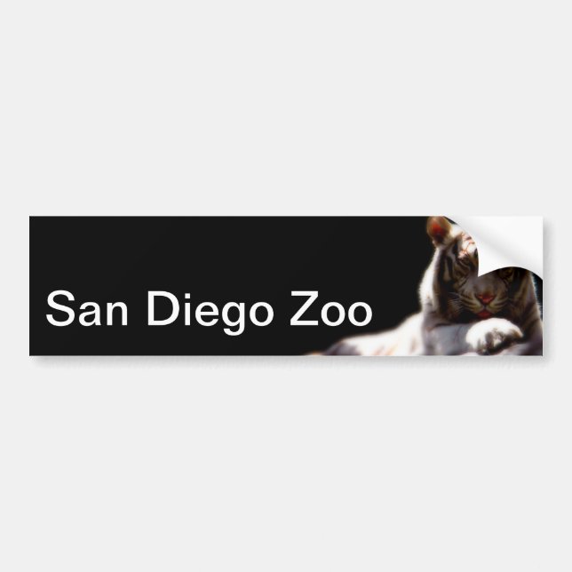 San Diego Zoo Tiger Bumper Sticker (Front)