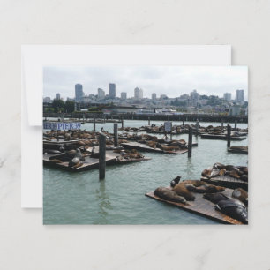 San Francisco and Pier 39 Sea Lions City Skyline