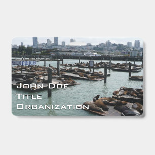 San Francisco and Pier 39 Sea Lions City Skyline Badge