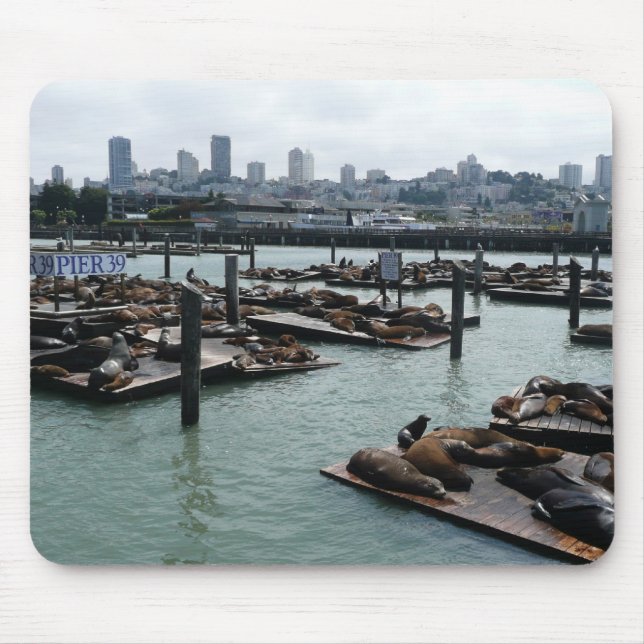 San Francisco and Pier 39 Sea Lions City Skyline Mouse Pad (Front)