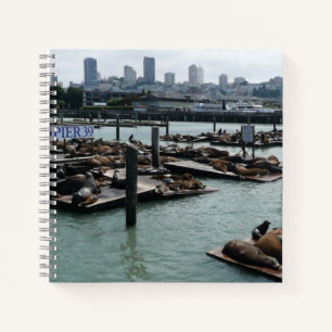 San Francisco and Pier 39 Sea Lions City Skyline Notebook