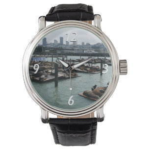 San Francisco and Pier 39 Sea Lions City Skyline Watch