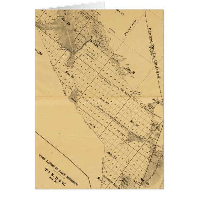 San Francisco Bay Salt Marsh (Front)