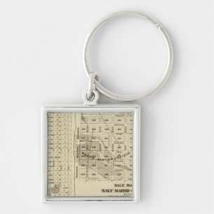 San Francisco Bay Salt Marsh 2 Keychain