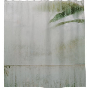 San francisco botanical garden