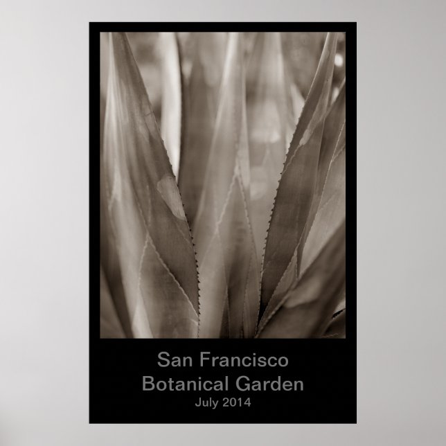 San Francisco Botanical Garden #1 Poster (Front)