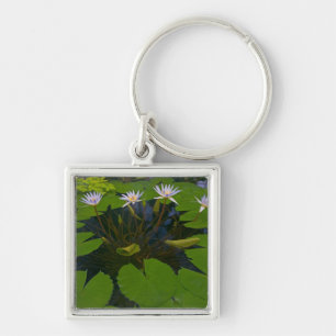 San Francisco Californias Golden Gate Park and Keychain