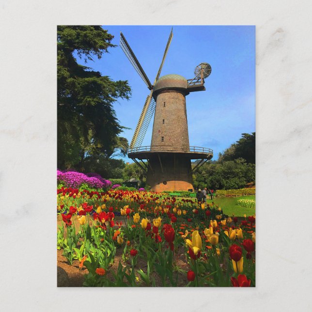 San Francisco Dutch Windmill #6 Postcard (Front)