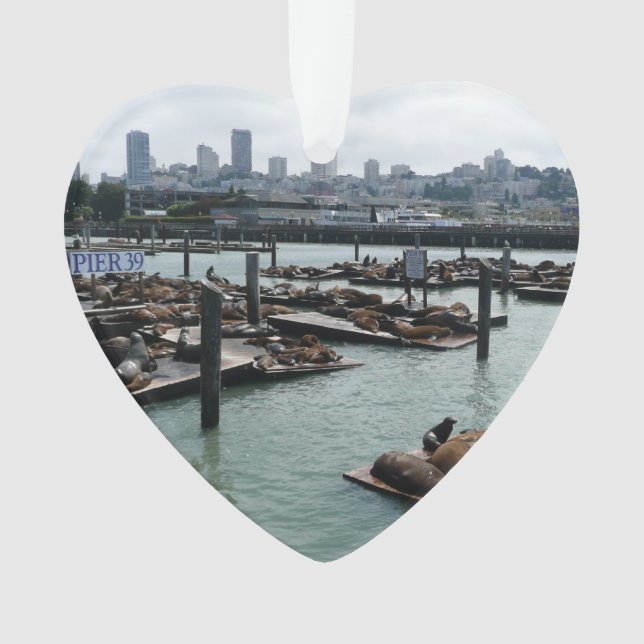 San Francisco et Pier 39 Sea Lions City Skyline (devant)