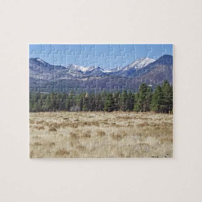 San Francisco fait une pointe le puzzle (Horizontal)