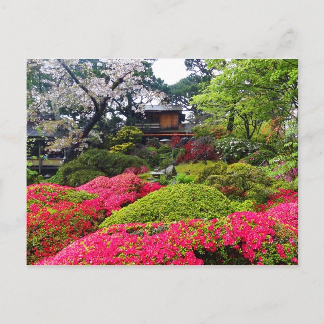 San Francisco Japanese Tea Garden #12 Carte postal (Devant)