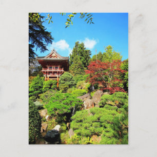 San Francisco Japanese Tea Gardens Postcard