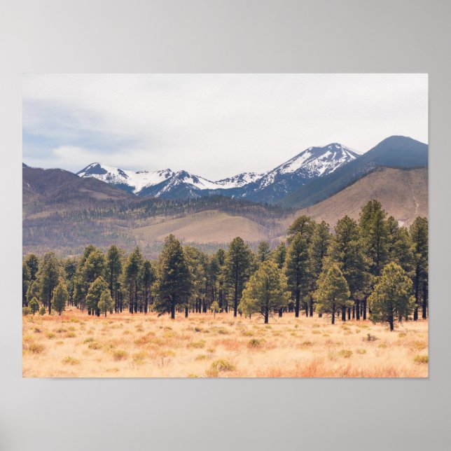 San Francisco Mountains Poster (Front)
