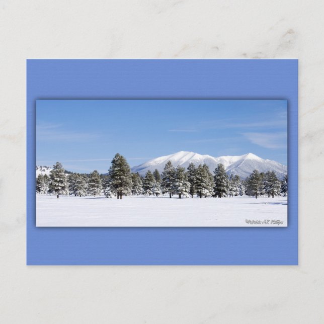 San Francisco Peaks In Snow Postcard (Front)